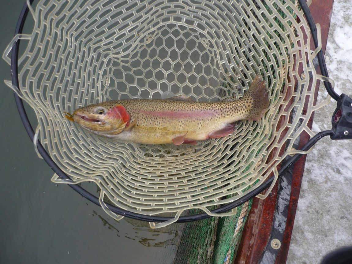 P1050493.JPG