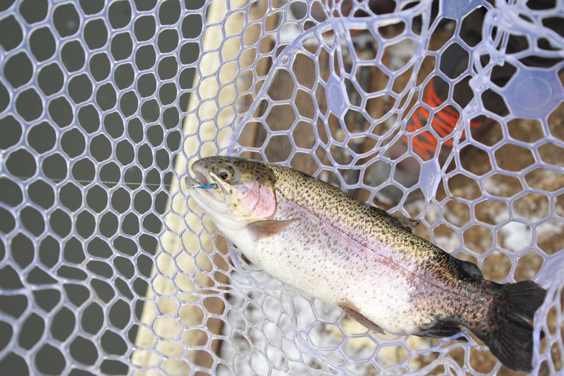 DSC_1780.JPG