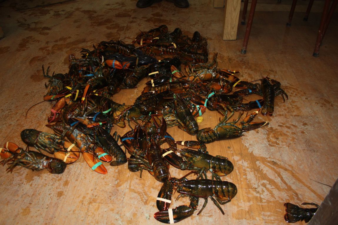 1��17�� 126.JPG