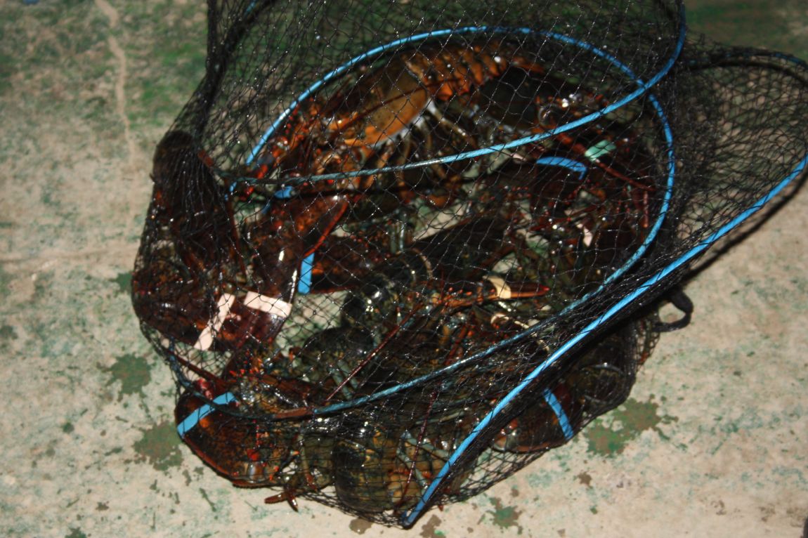 1��17�� 001.JPG