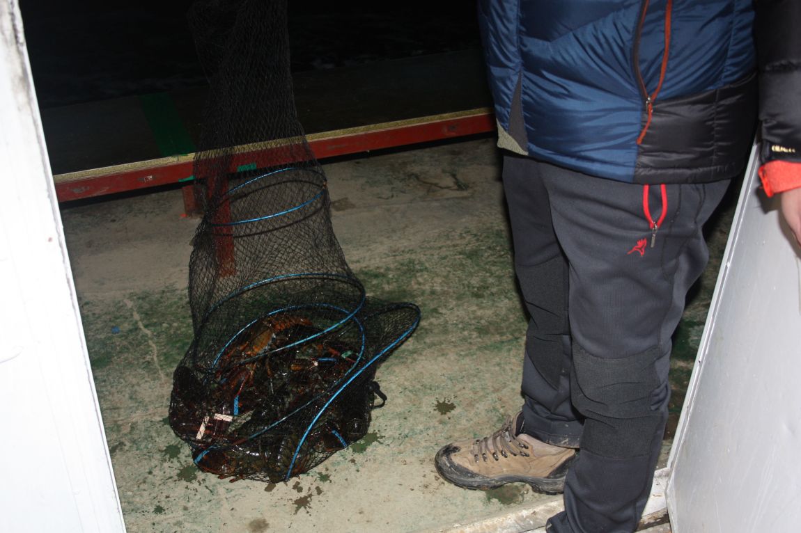 1��17�� 002.JPG