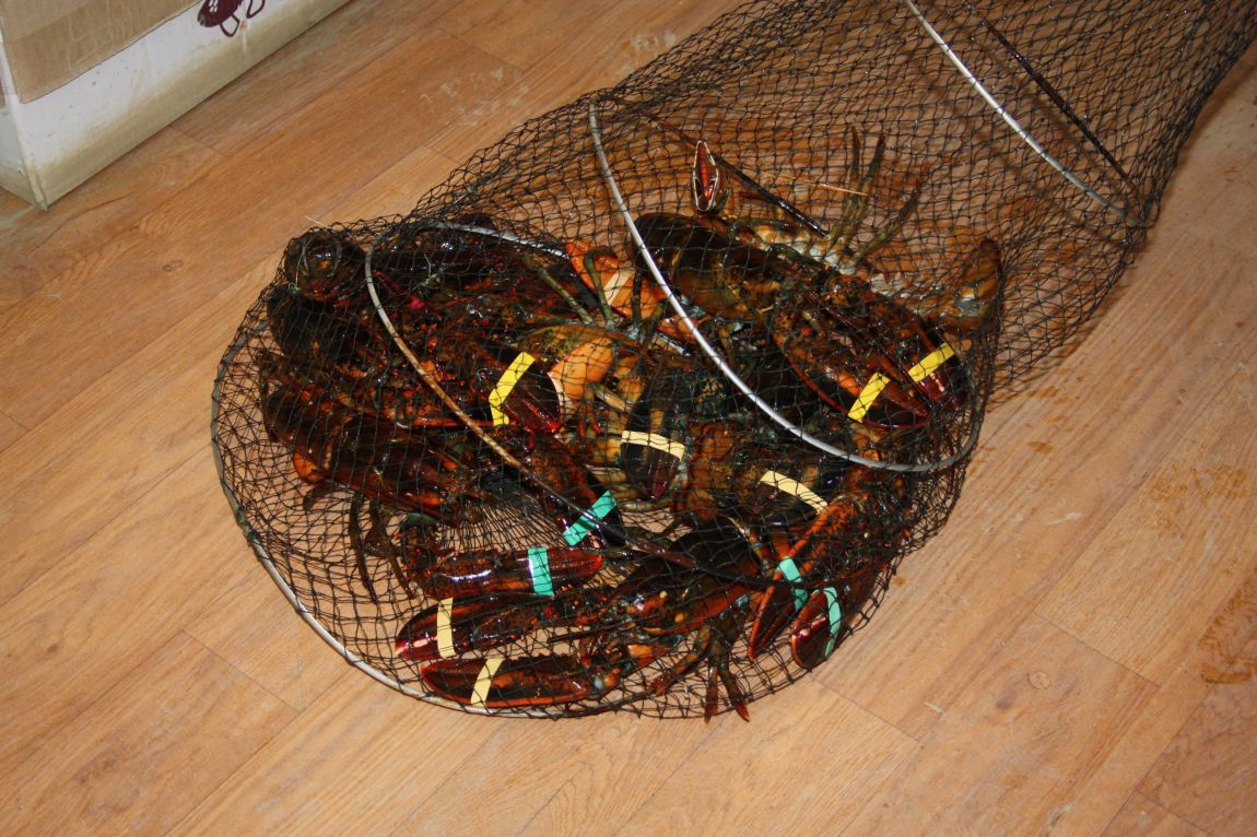 1��17�� 007.JPG