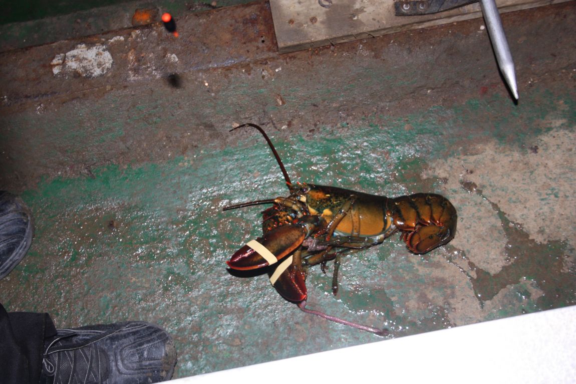 1��17�� 013.JPG