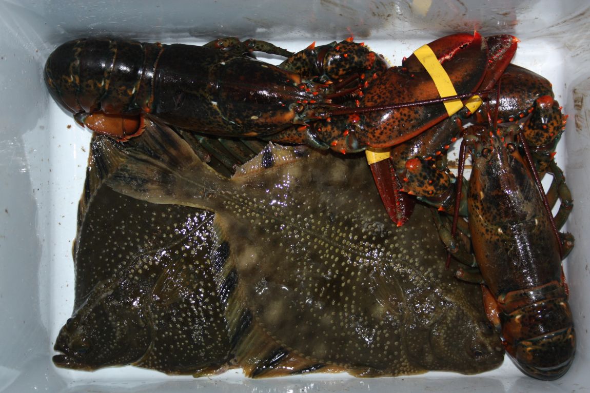 1��17�� 017.JPG