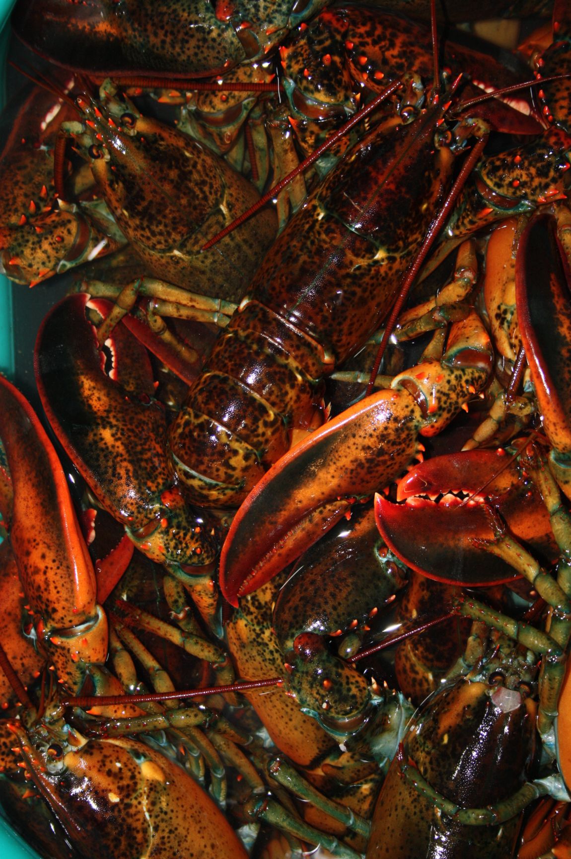 1��17�� 018.JPG