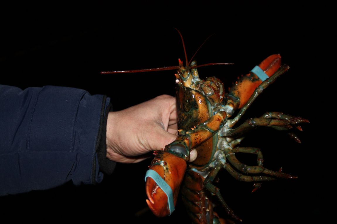 1��17�� 019.JPG