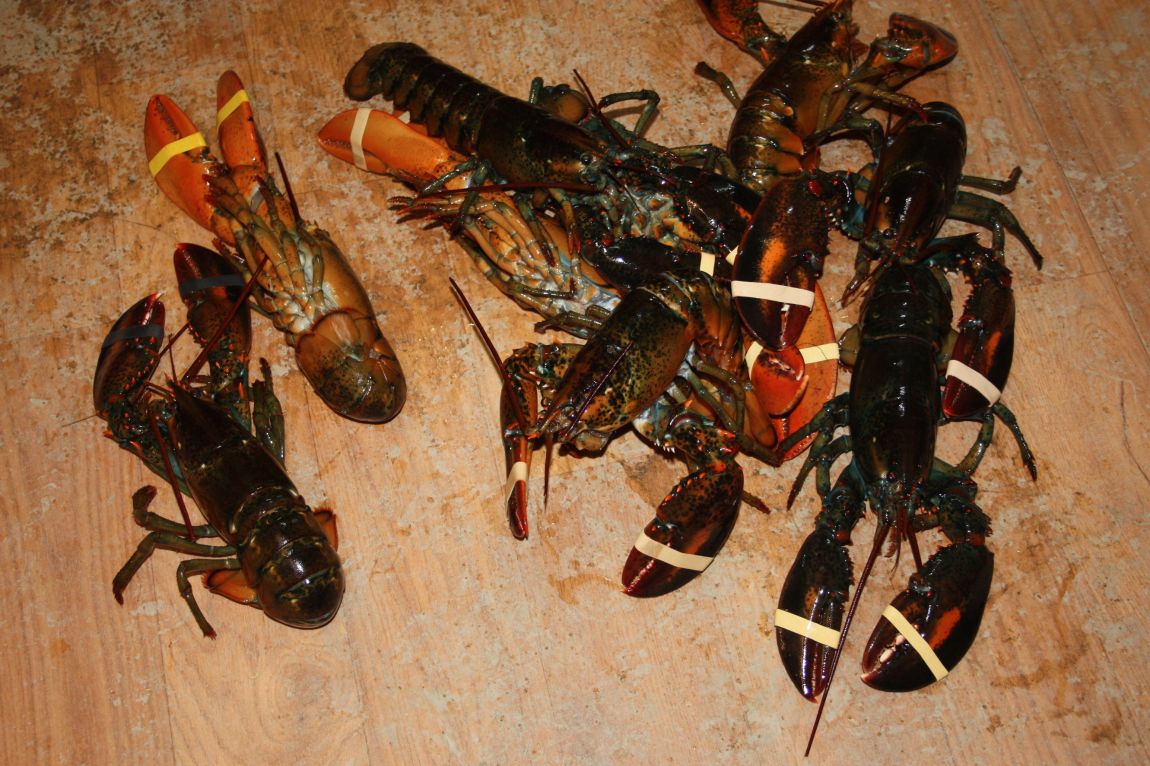 1��17�� 028.JPG