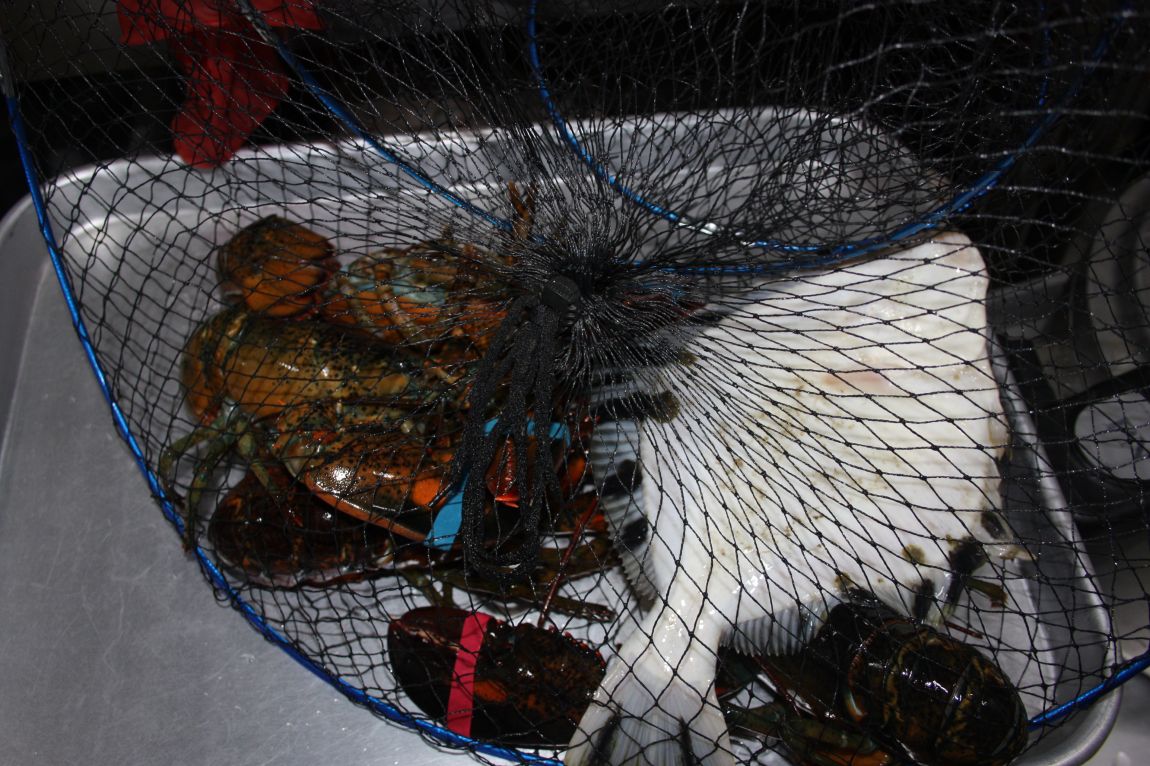 1��17�� 085.JPG