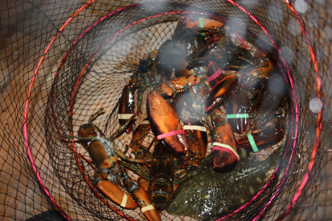 1��17�� 094.JPG