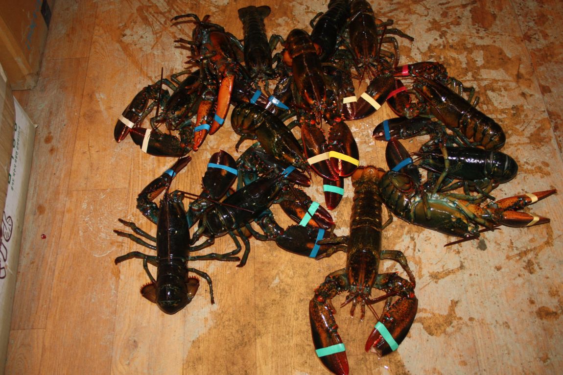 1��17�� 114.JPG