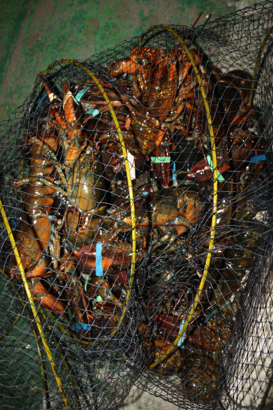 1��17�� 117.JPG