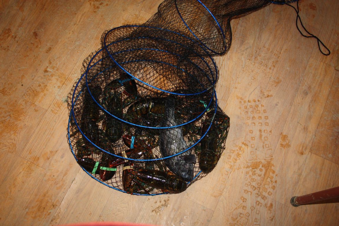 1��17�� 121.JPG