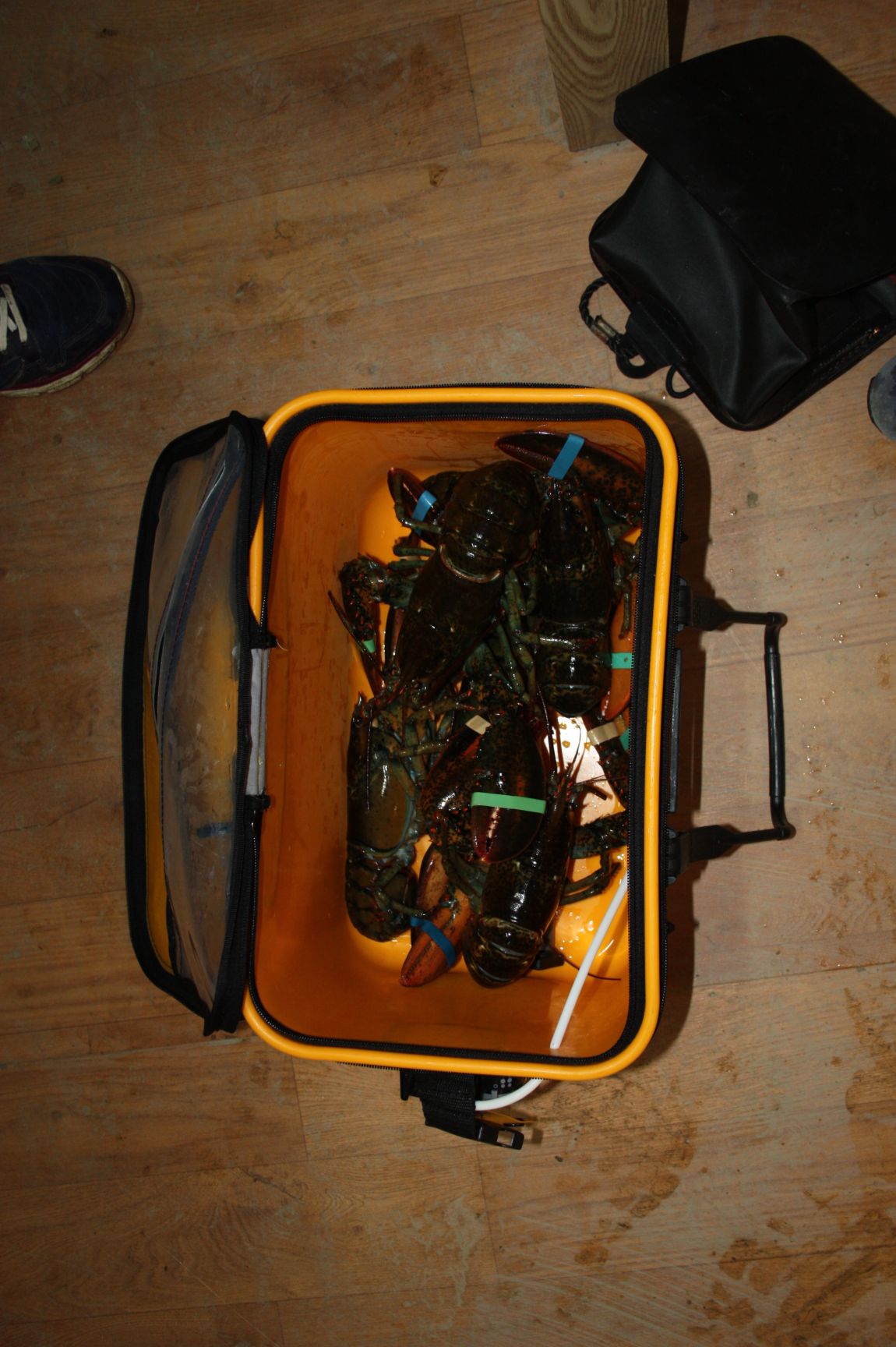 1��17�� 123.JPG