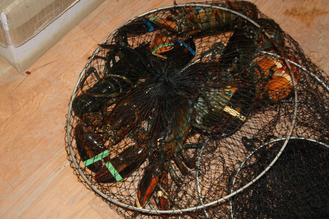 1��17�� 128.JPG