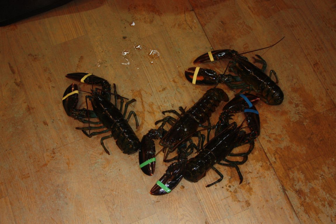 1��17�� 136.JPG