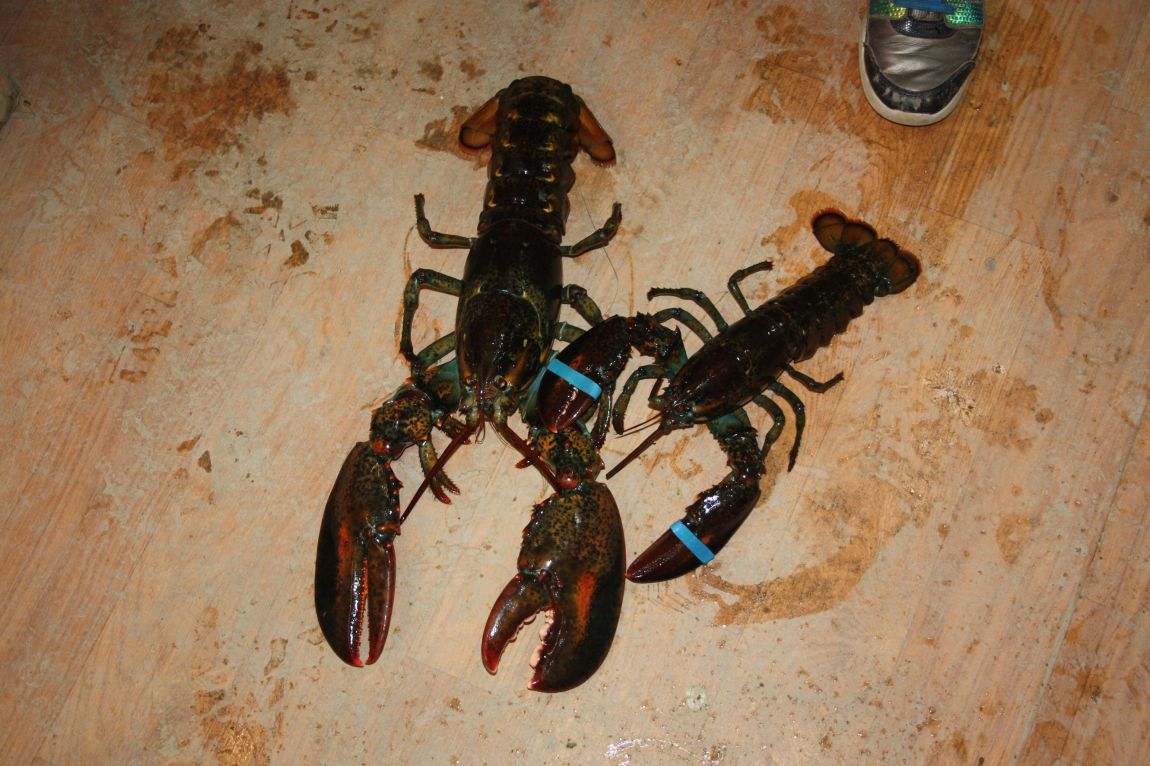 1��17�� 147.JPG