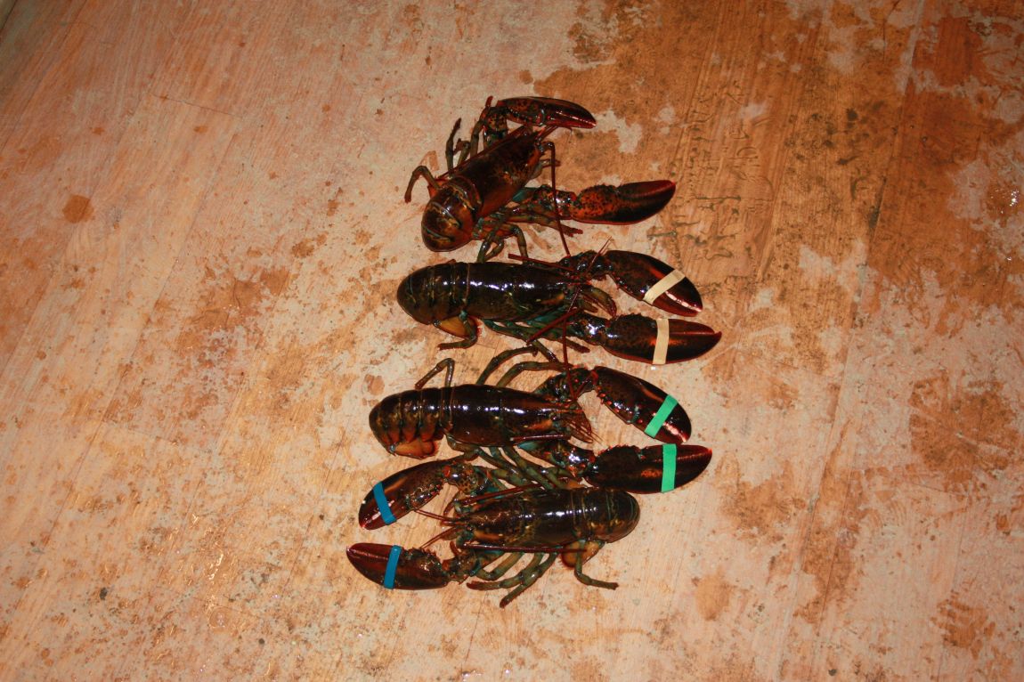 1��17�� 150.JPG