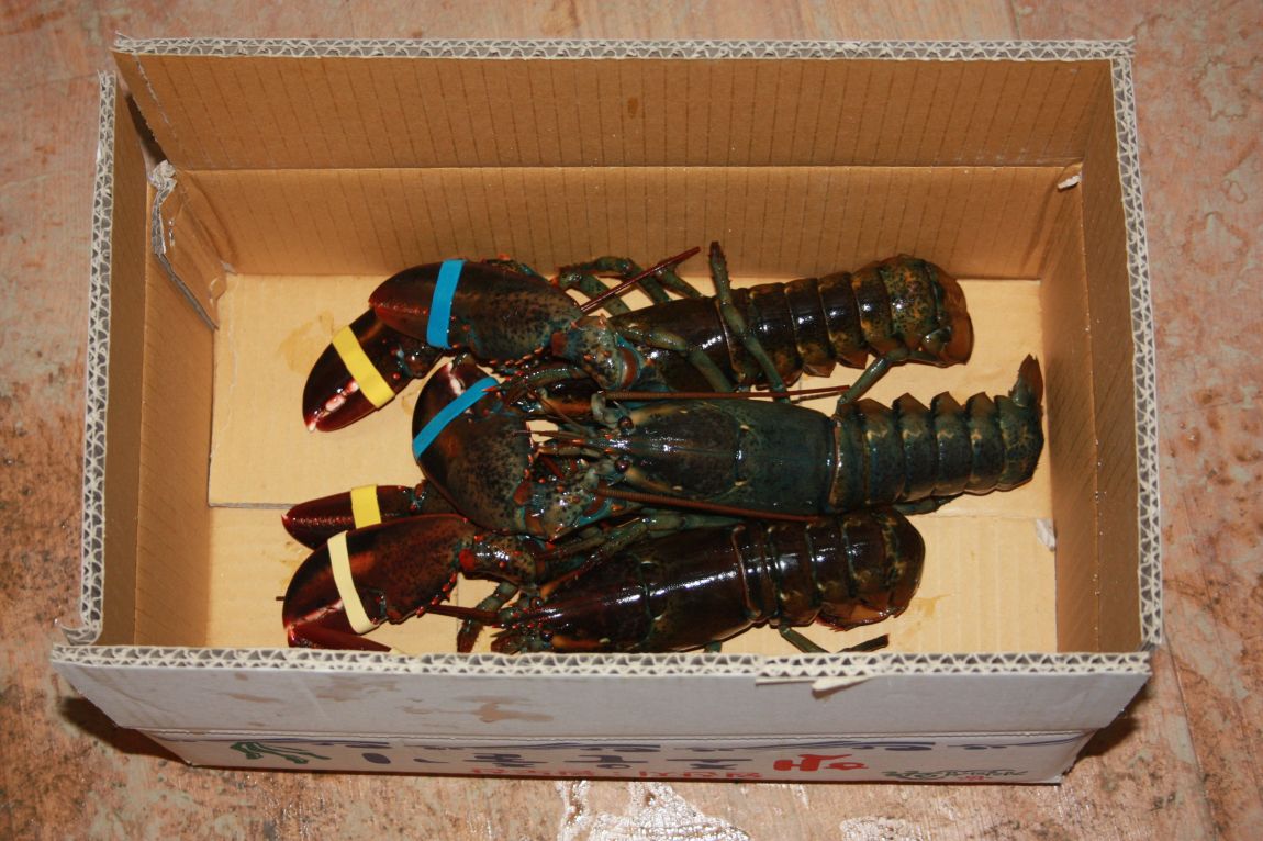 1��17�� 153.JPG