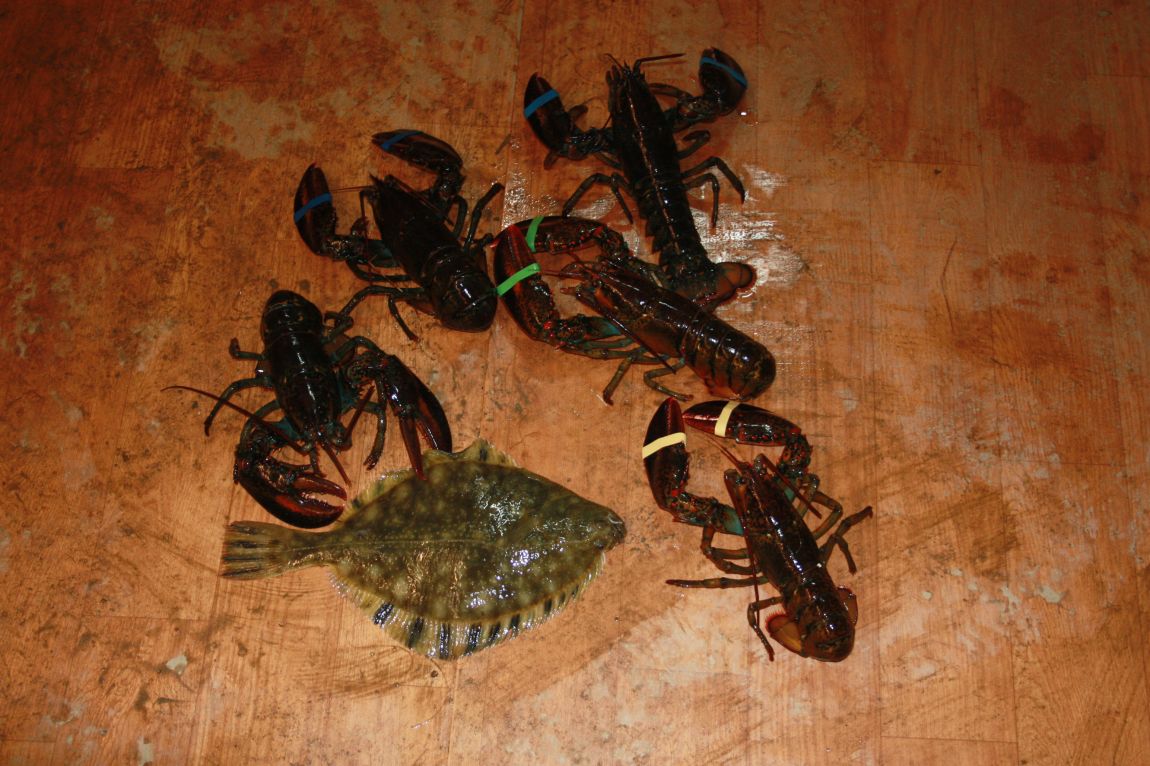 1��17�� 154.JPG