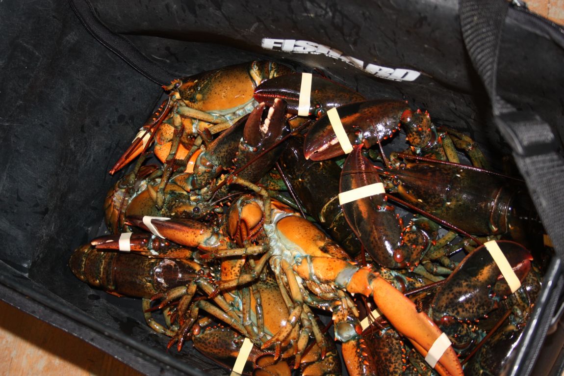 1��22�� 044.JPG