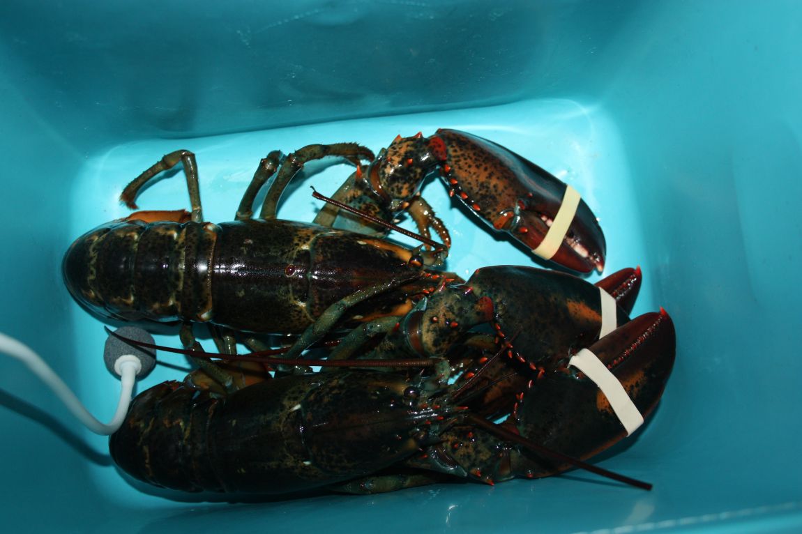 1��22�� 005.JPG