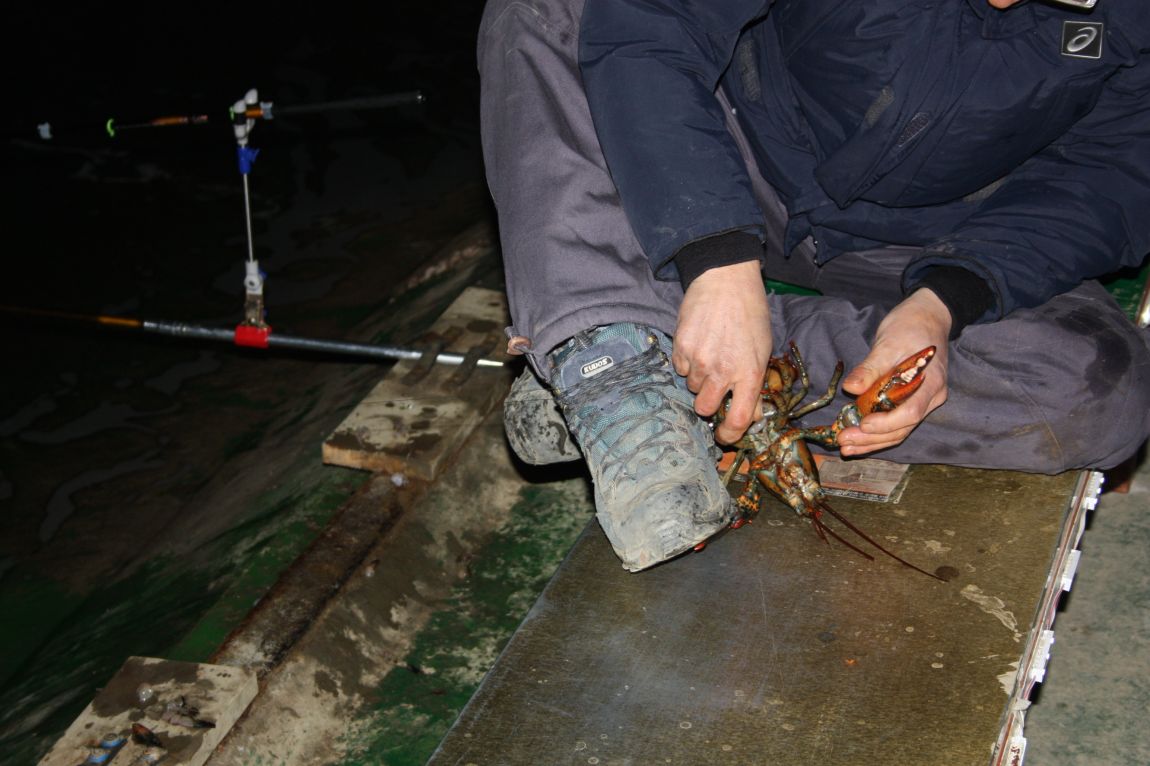 1��22�� 018.JPG