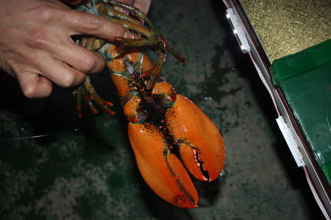 1��22�� 020.JPG