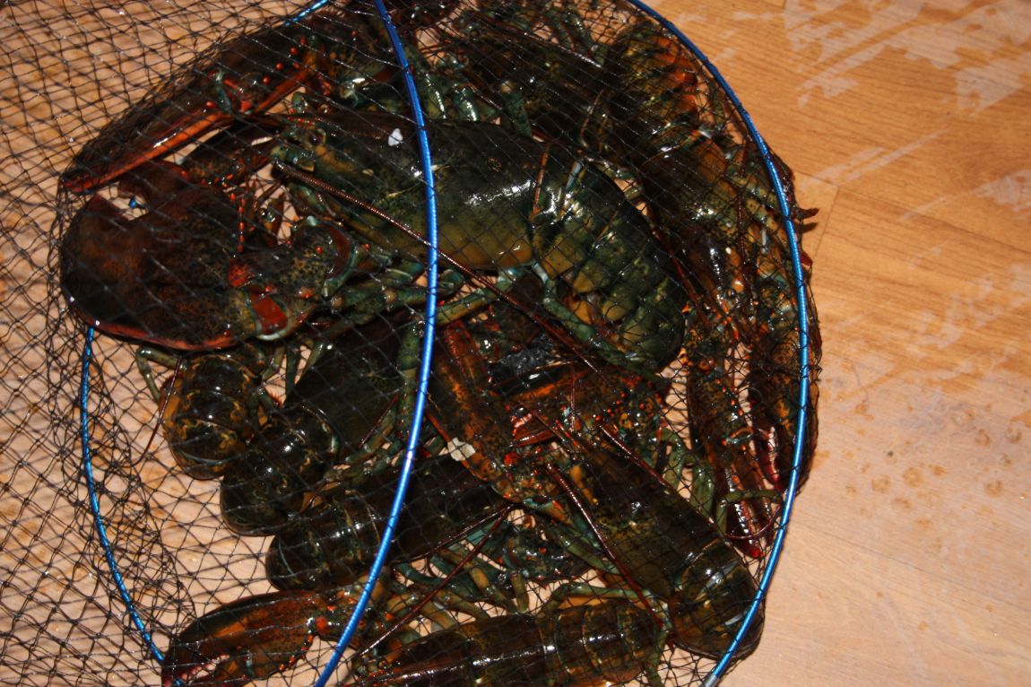 1��22�� 029.JPG