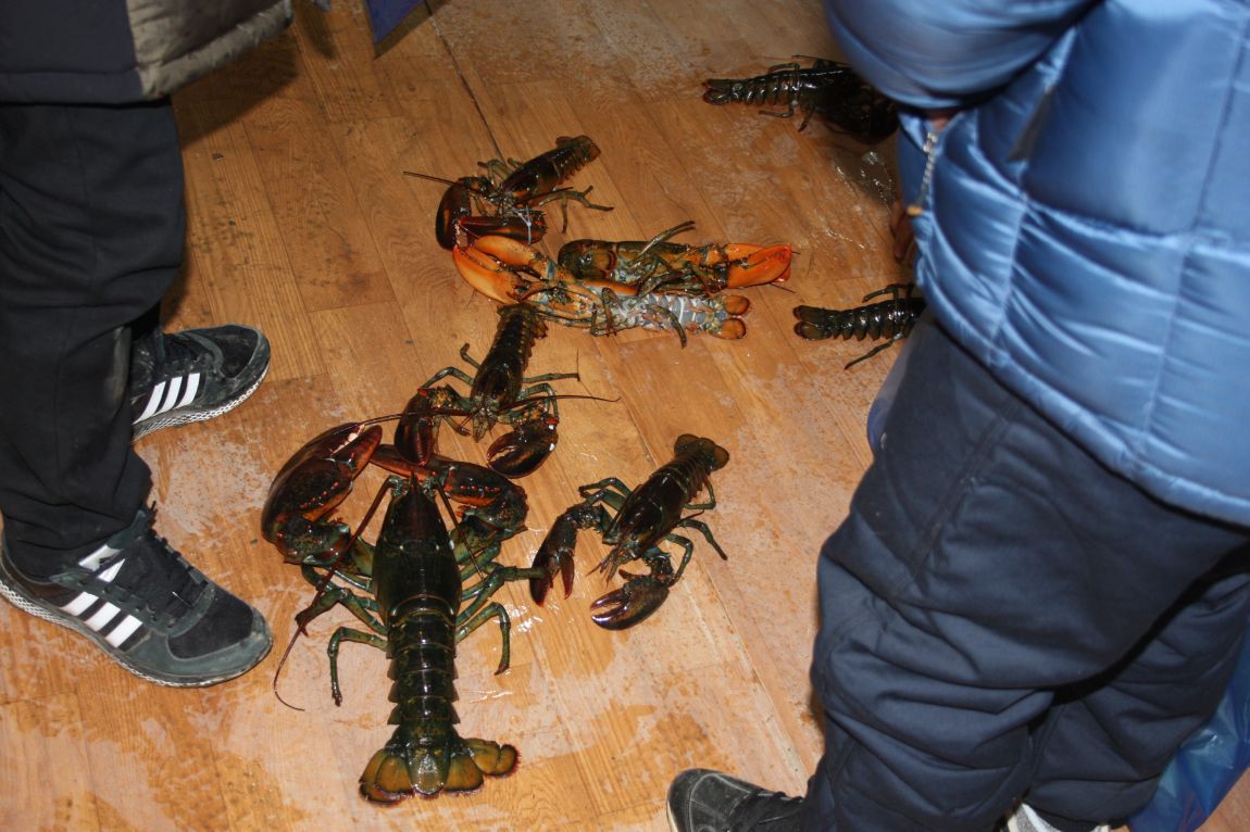 1��22�� 030.JPG