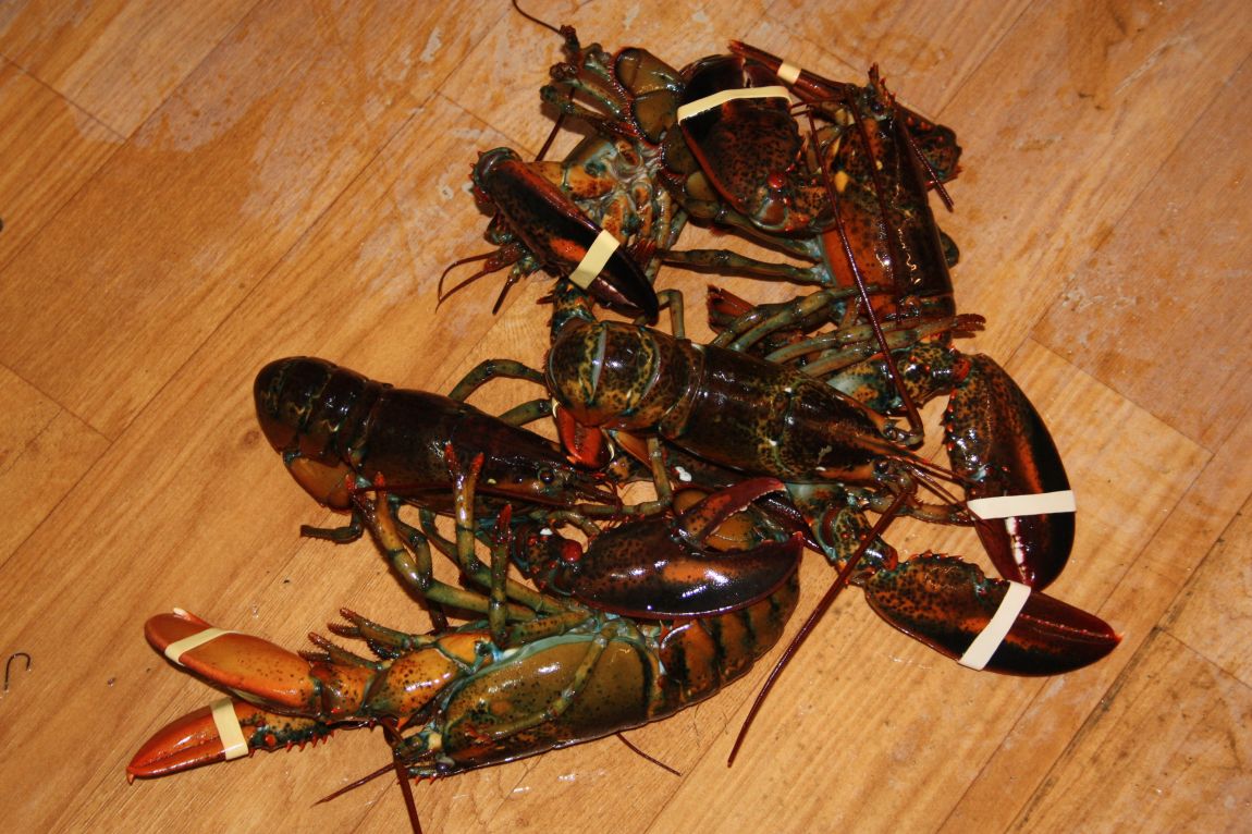 1��22�� 031.JPG