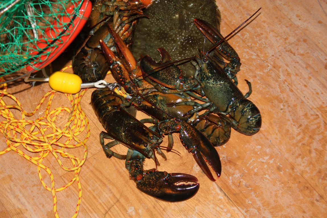 1��22�� 034.JPG