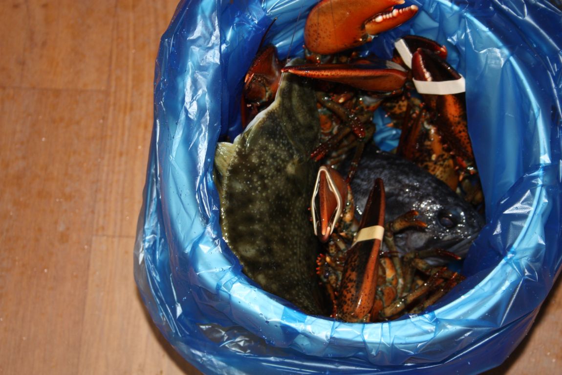 1��22�� 035.JPG