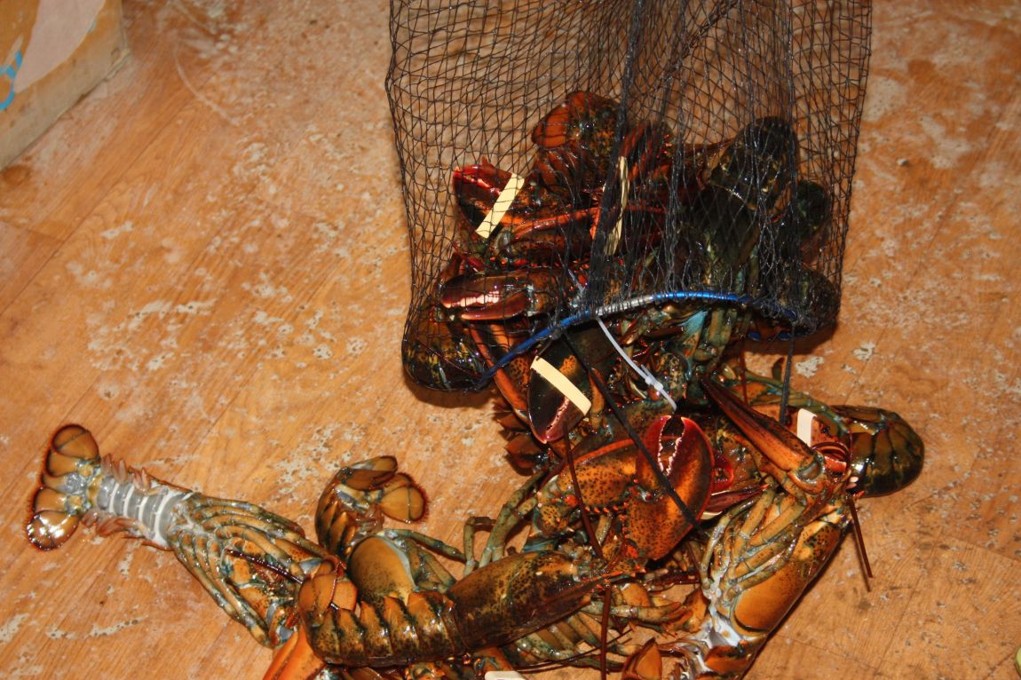 1��22�� 036.JPG