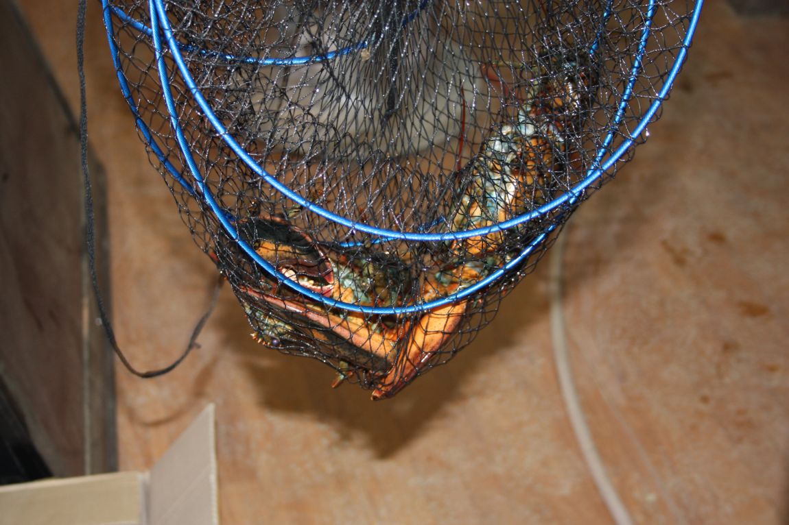 1��22�� 040.JPG