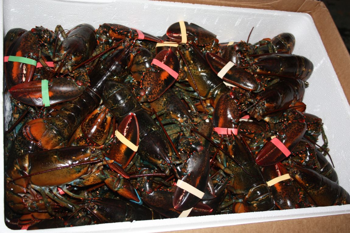 1��22�� 070.JPG