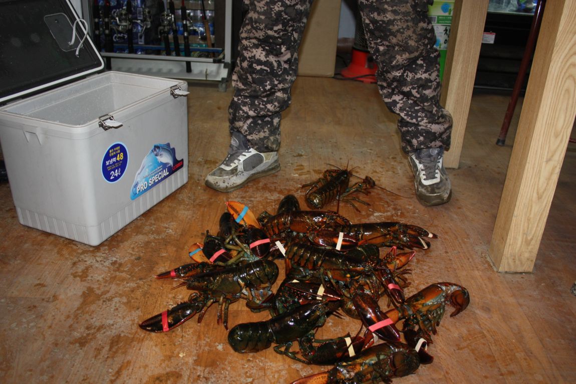 1��25�� 022.JPG