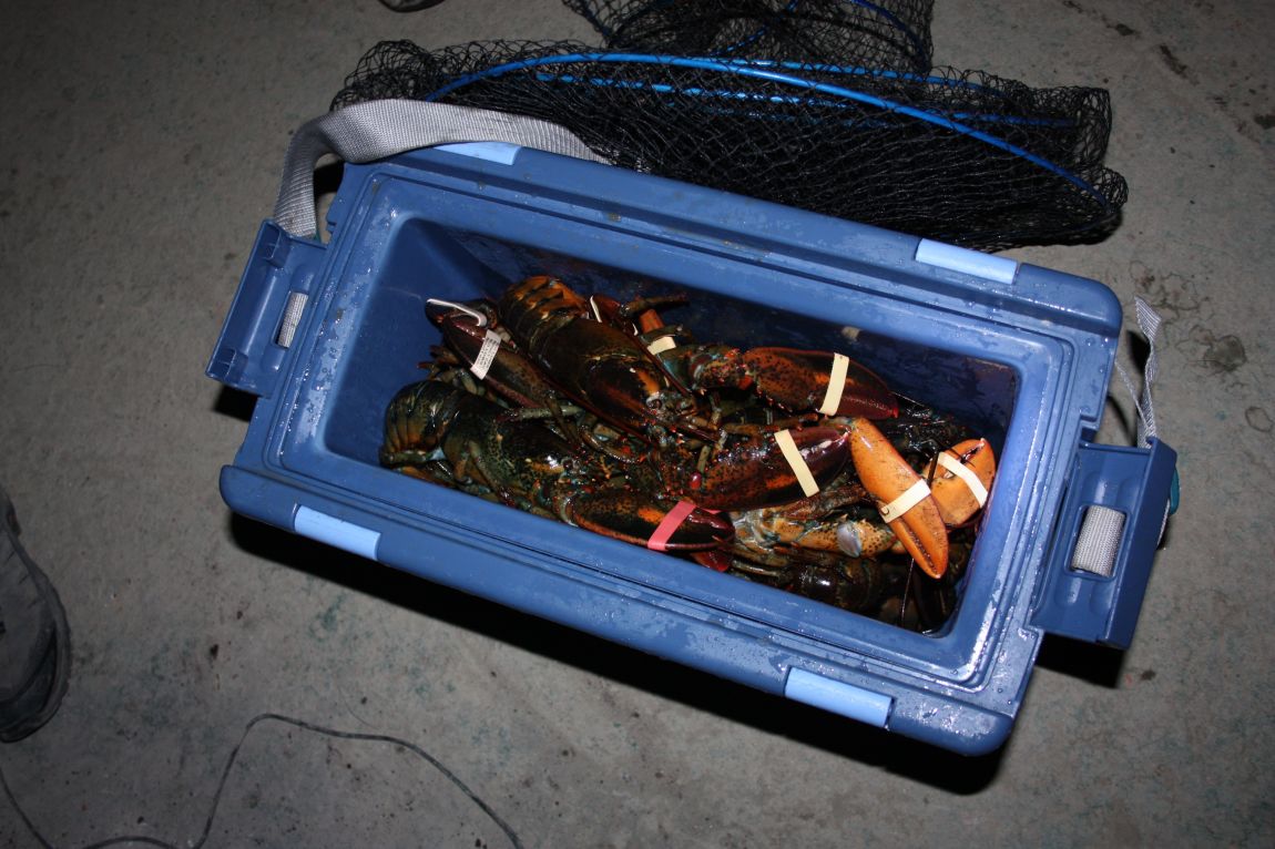 1��25�� 014.JPG