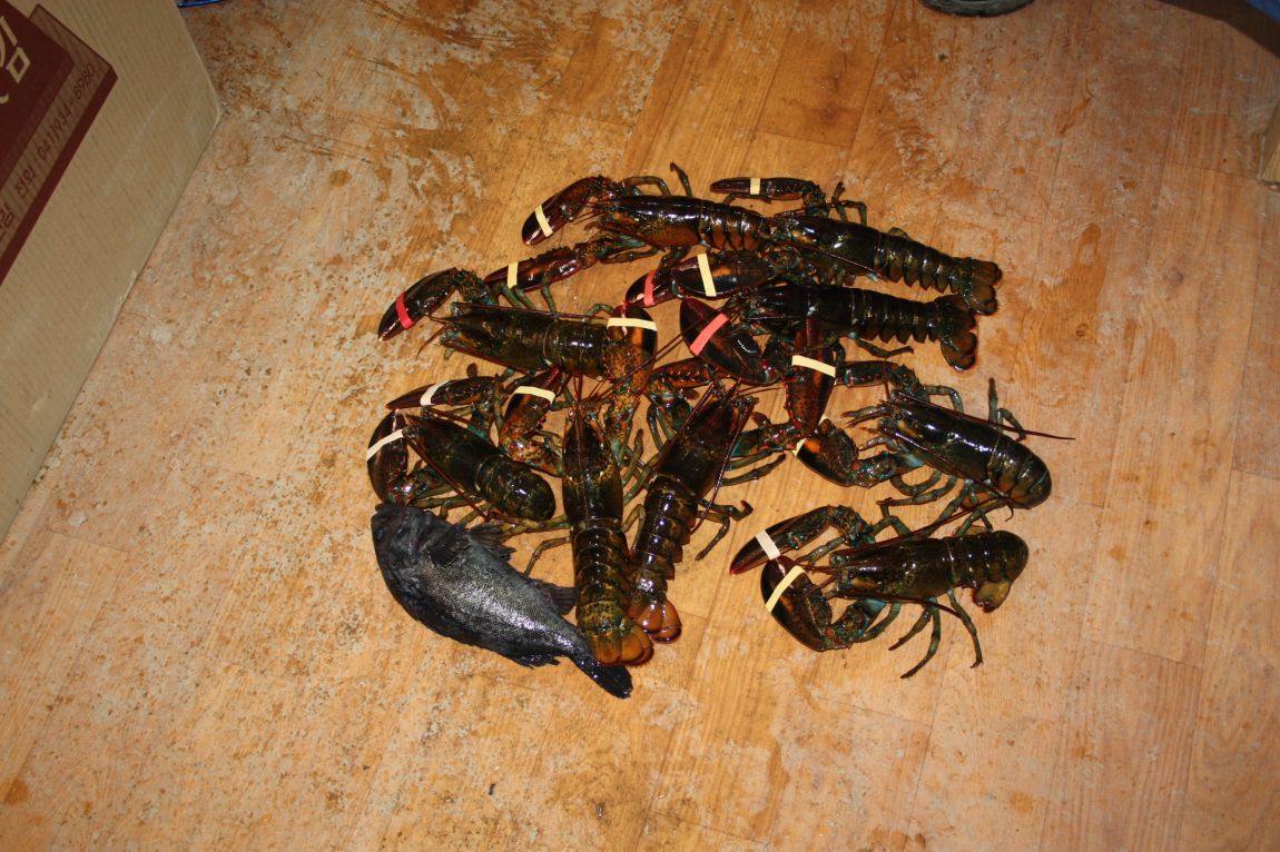 1��25�� 016.JPG