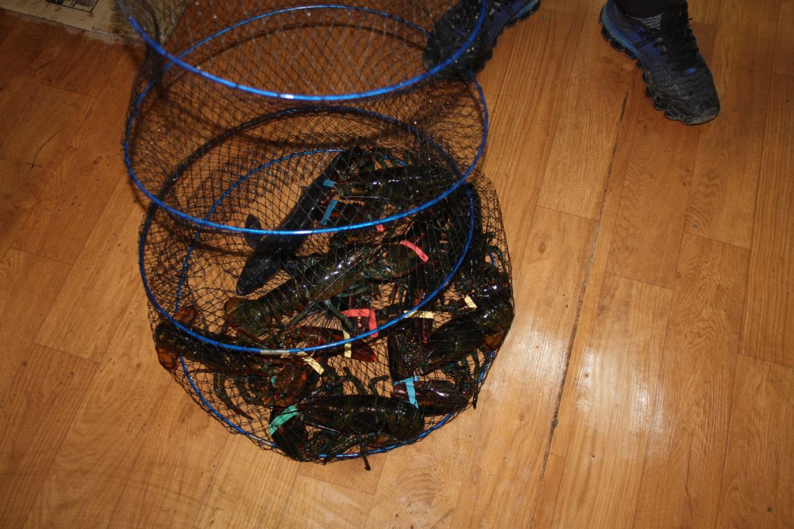 1��25�� 018.JPG