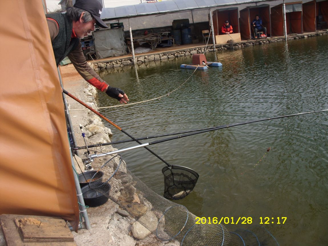 SDC15408.JPG