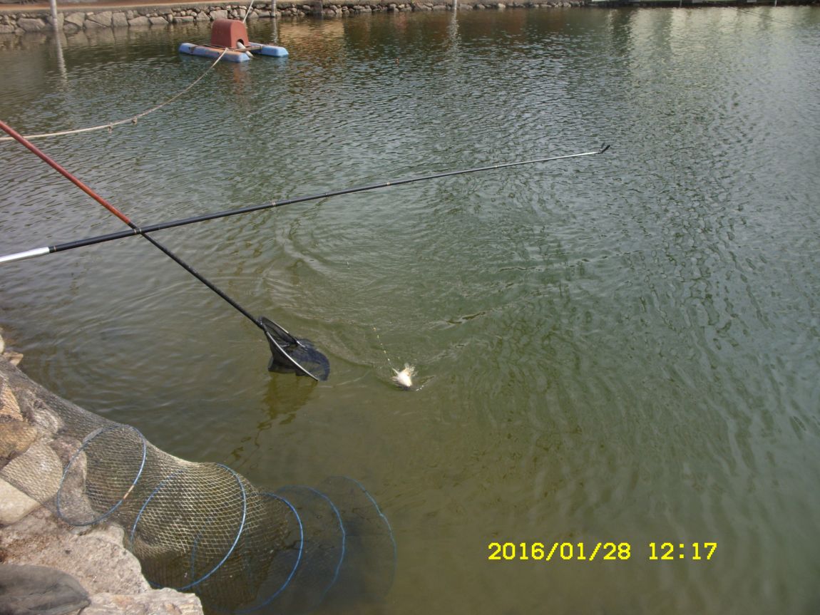 SDC15409.JPG