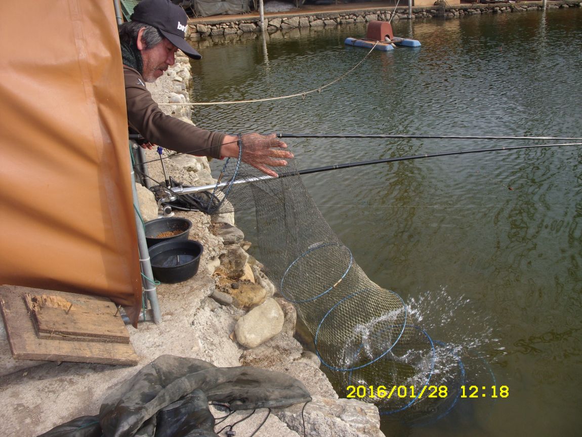 SDC15410.JPG