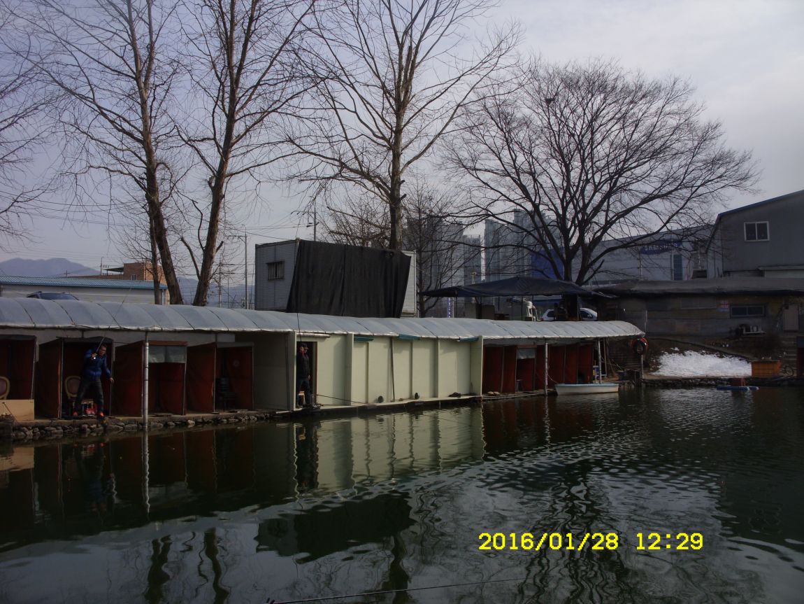 SDC15411.JPG