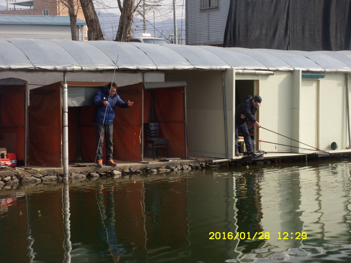 SDC15413.JPG