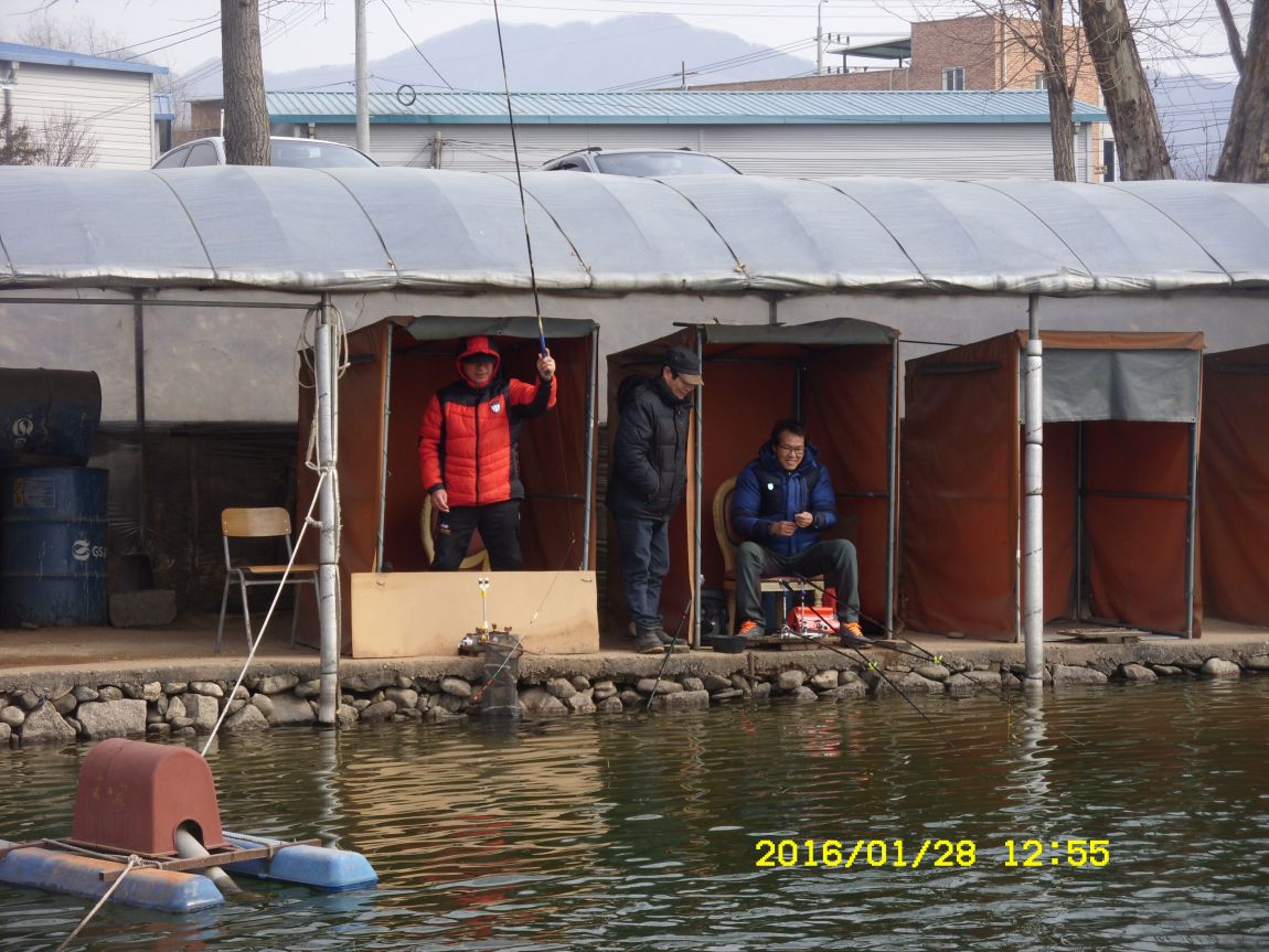 SDC15416.JPG