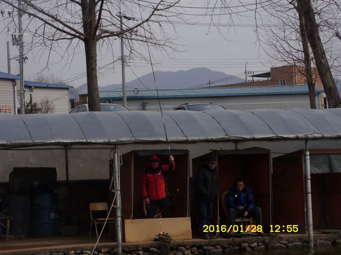 SDC15417.JPG