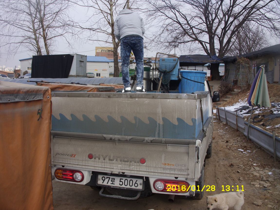 SDC15418.JPG