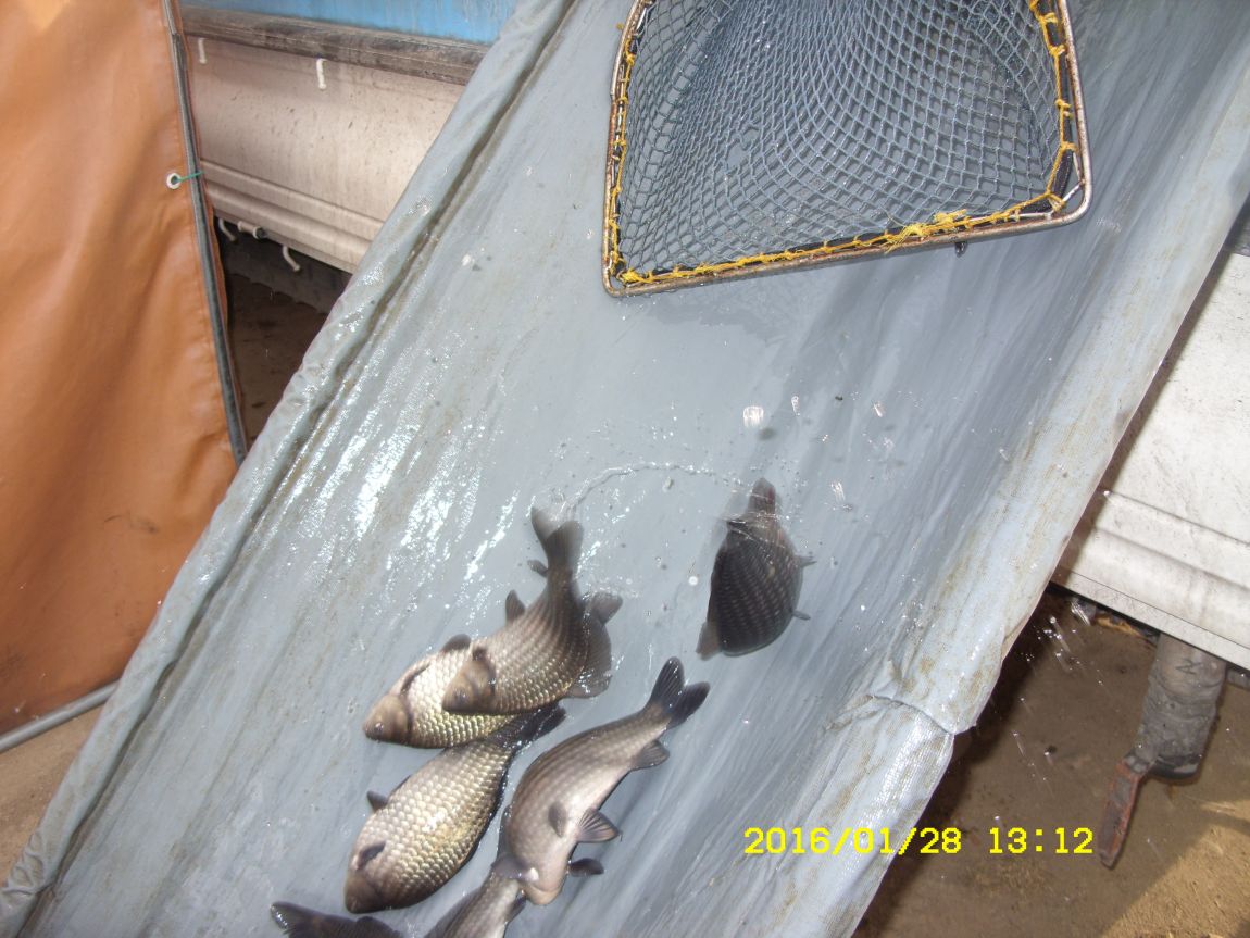 SDC15420.JPG