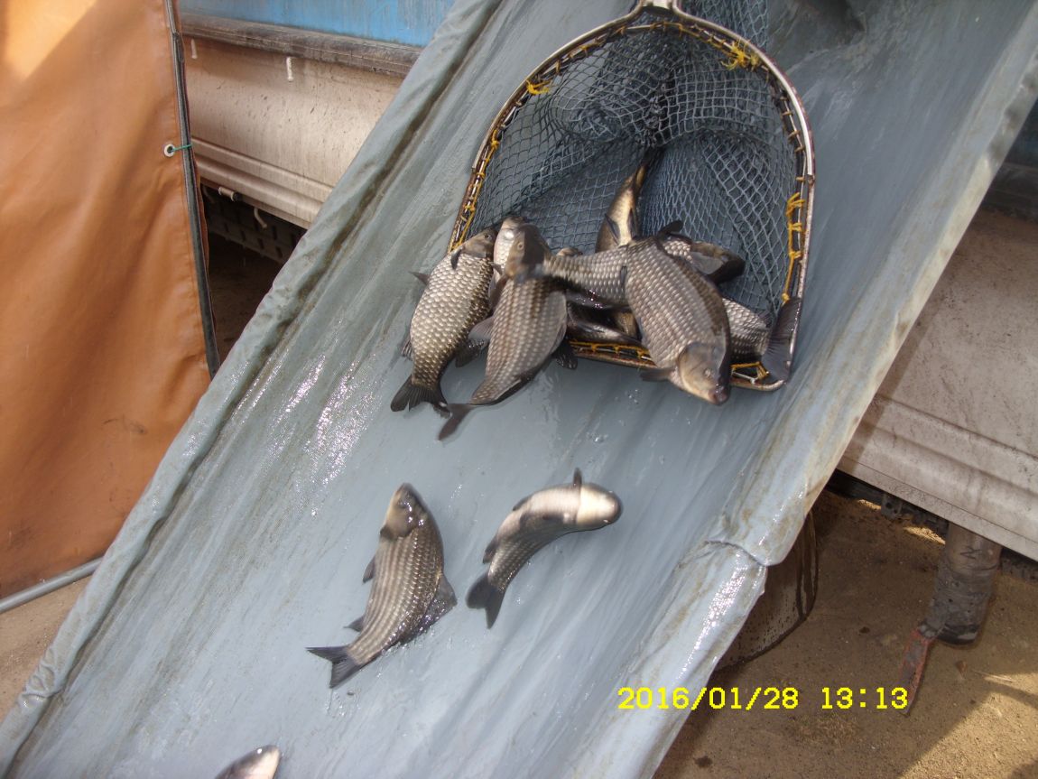 SDC15421.JPG