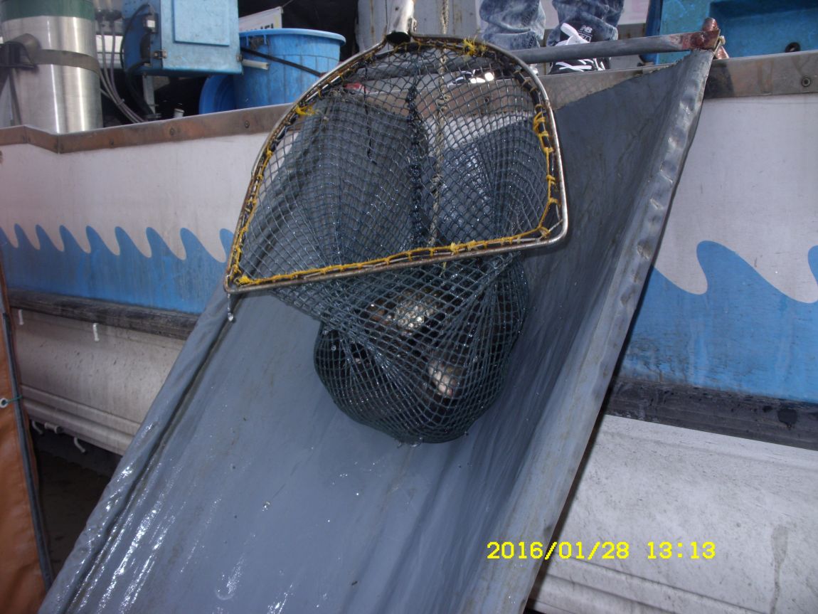 SDC15422.JPG